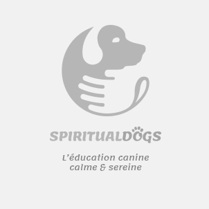 spiritualdogs
